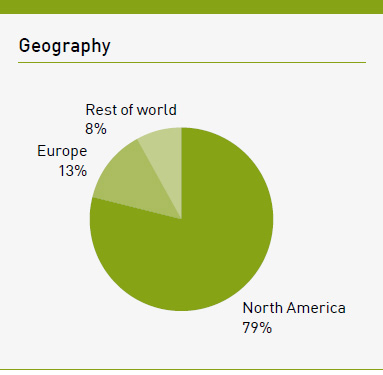 Risk: Revenue by geography chart