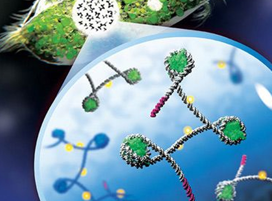 Read story: Cell