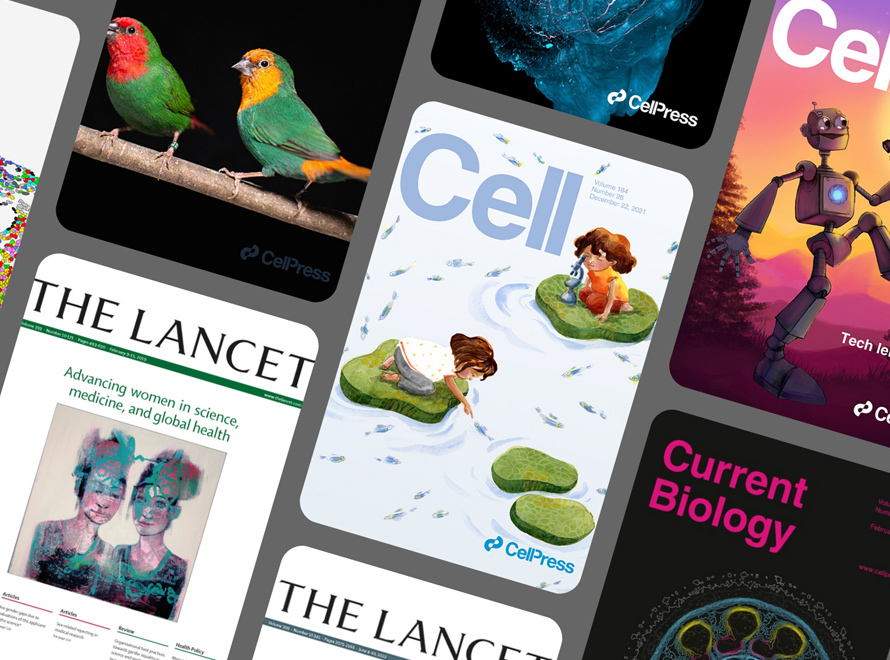 Impact publishing