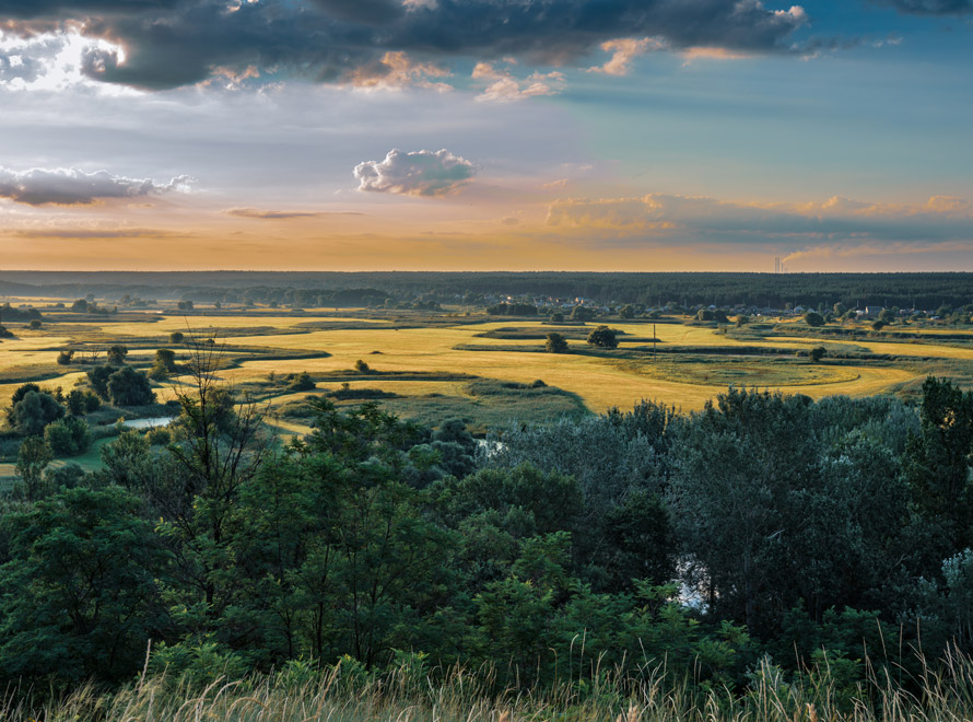 Read story: RELX and the environment
