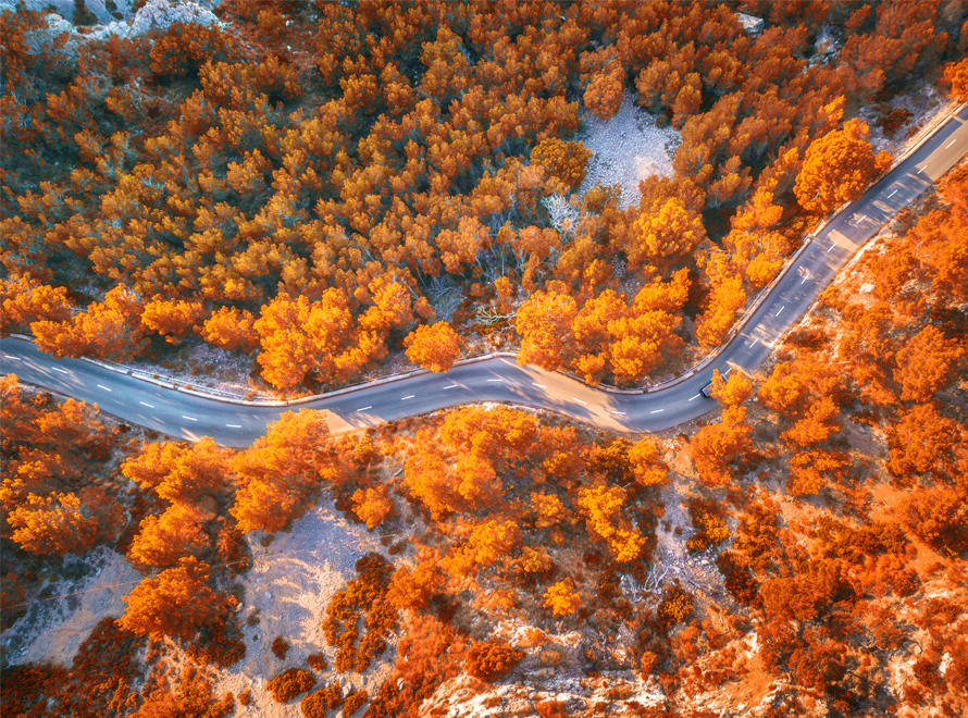 Read story: Telematics